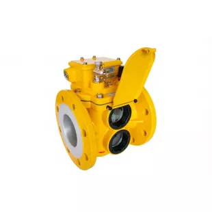 Реле Бухгольца BF-50/10 фото 1